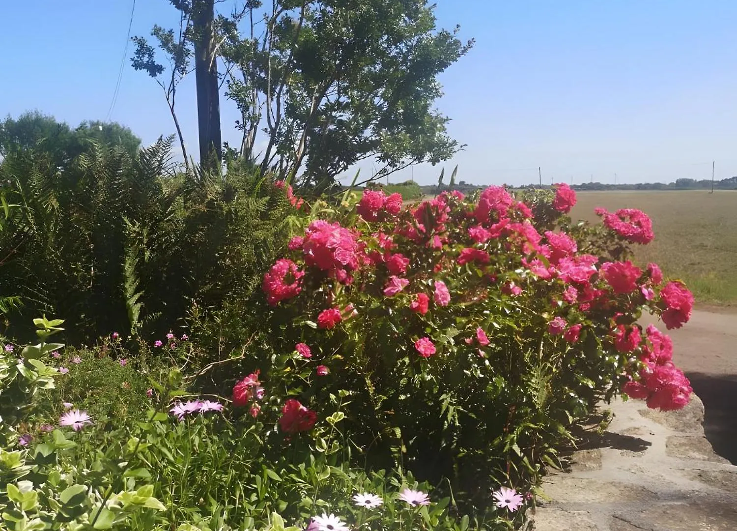 MahalonPlain-Pied En Rez-De-Jardin别墅 Mahalon